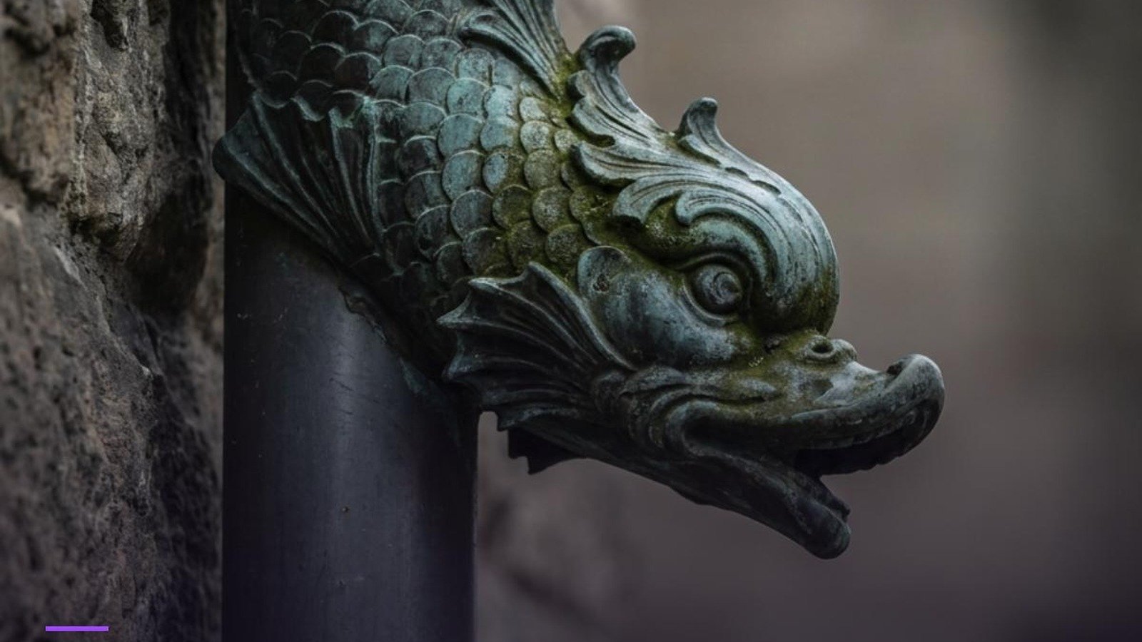 La función no es lo mismo que el detalle - desagüe ornamentado con forma de pez junto a un tubo industrial liso, imagen del artículo de Nacho Segovia