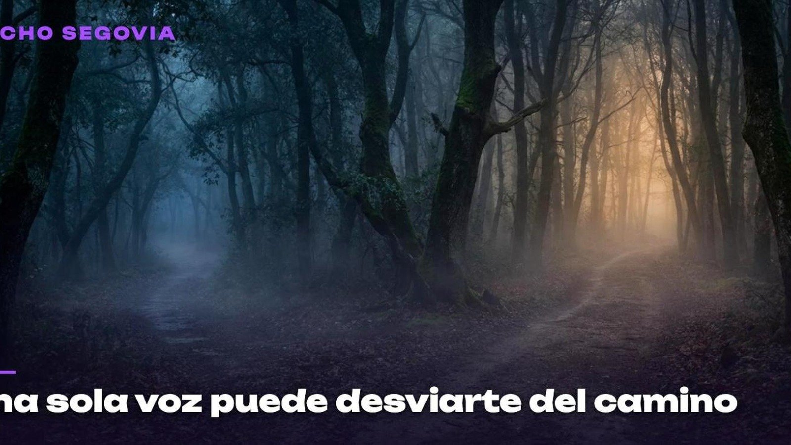 Un camino en un bosque oscuro y con niebla se divide en dos direcciones, una hacia la sombra y otra hacia una luz tenue, imagen del artículo de Nacho Segovia