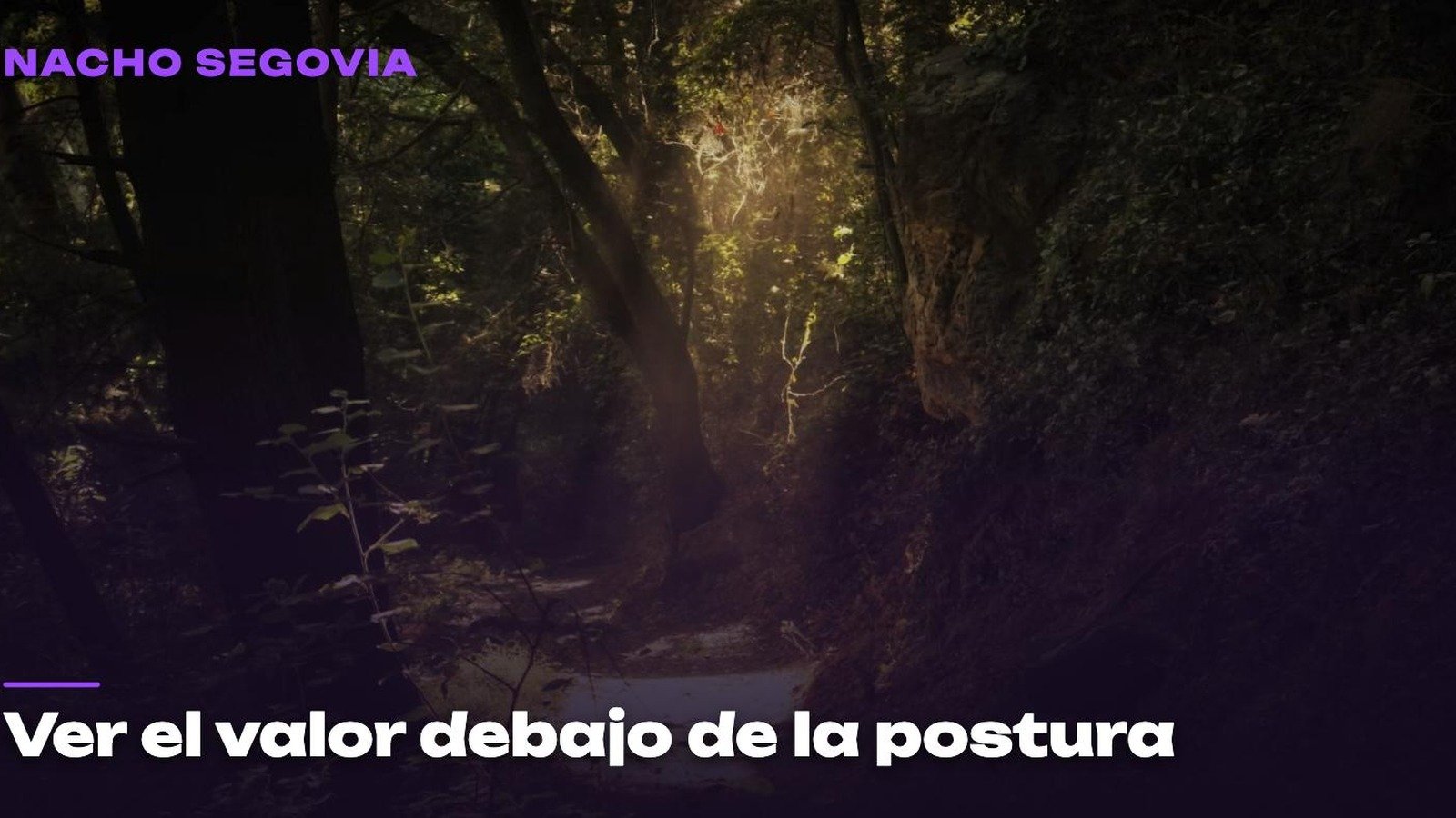Un camino de piedra iluminado que se pierde entre árboles hacia la luz, imagen del artículo de Nacho Segovia